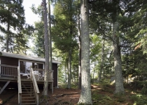 Cattails Cabin