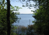 Loggers Cabin