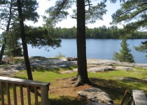 Spruce Tree Cabin