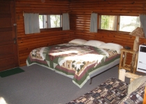 Spruce Tree Cabin