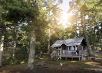 Spruce Tree Cabin