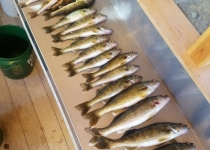 22449717_1499857646769836_1201869281890261602_n[1]