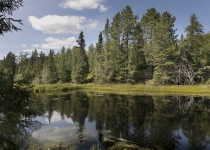 Voyageur Park Lodge