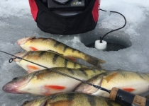 Voyageur Park Lodge - Ice Fishing