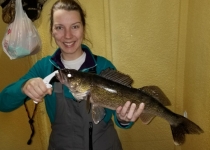 Voyageur Park Lodge - Ice Fishing