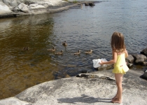 Voyageur Park Lodge - Feeding the Ducks