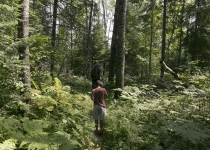 Voyageurs National Park