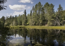 Voyageurs National Park