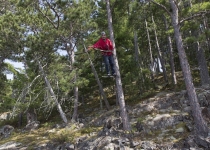 Voyageurs National Park