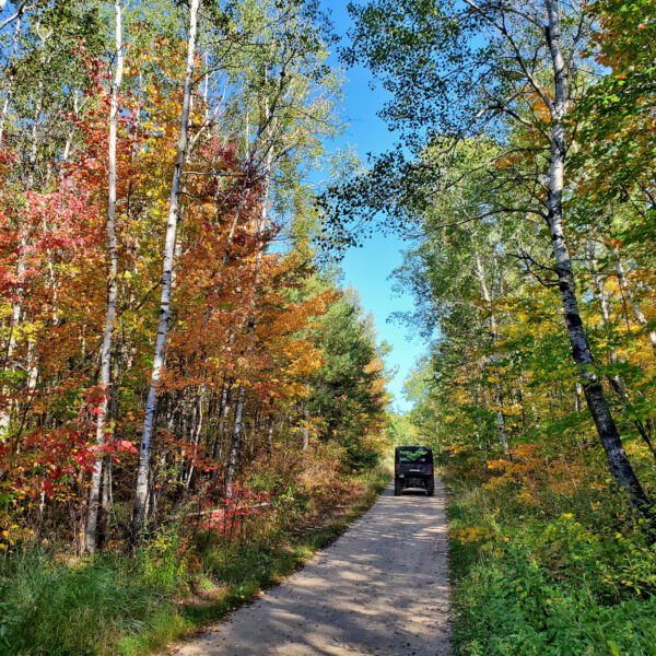 Trail riding in autumn in Northern Minnesota